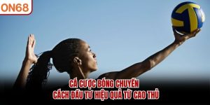 Cá Cược Bóng Chuyền
